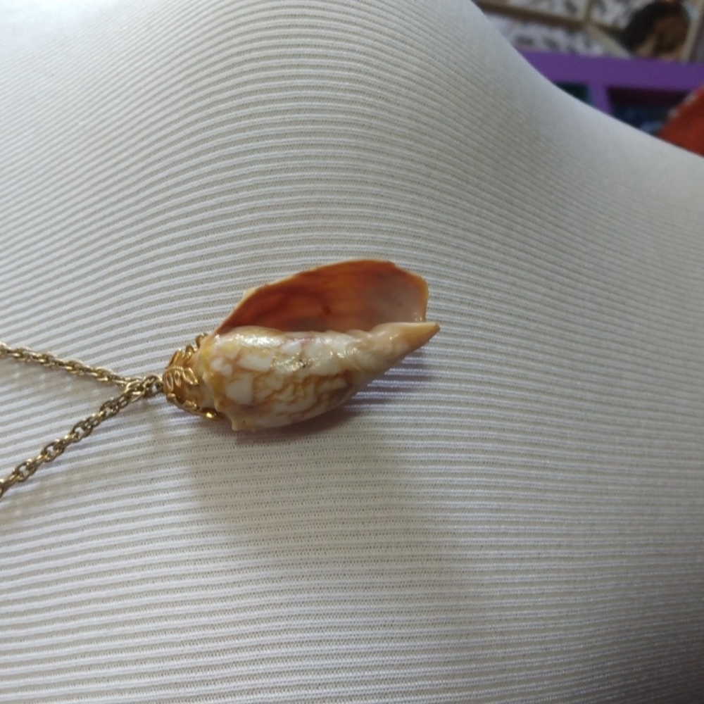 Shell necklace - Picture 2 of 2